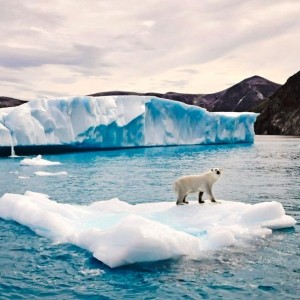 AKpolar_bear_on_iceberg_graham_dickson_dsc5908_mv